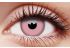 Barbie Pink Coloured Contact Lenses
