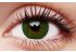 Basic Green Coloured Contact Lenses