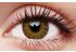 Glamour Honey Coloured Contact Lenses