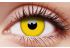 Glow Yellow 1-year Coloured Contact Lenses