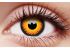 Orange Werewolf 1 Year Coloured Contact Lenses