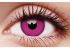 Purple Coloured Contact Lenses