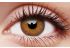 Trublends Brown (5 Pairs) Coloured Contact Lenses