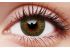 Trublends Green (5 Pairs) Coloured Contact Lenses