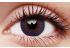 Trublends Violet (5 Pairs) Coloured Contact Lenses