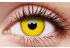 Yellow Coloured Contact Lenses