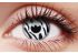 Zebra Coloured Contact Lenses