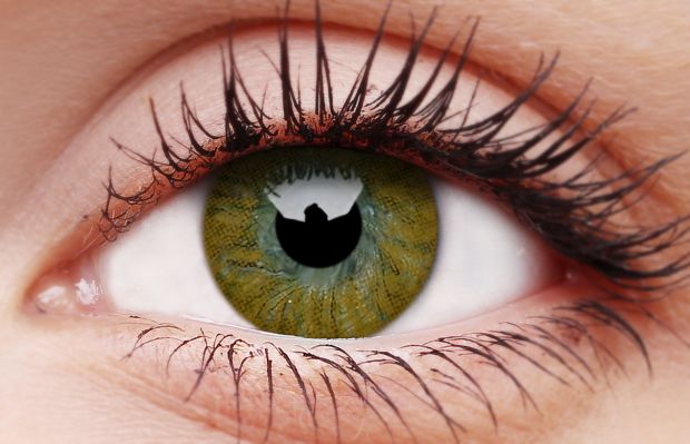 Basic Honey Coloured Contact Lenses