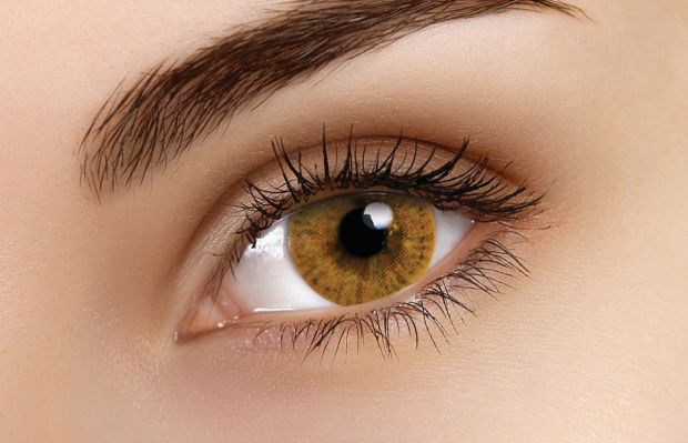 Basic Honey Coloured Contact Lenses