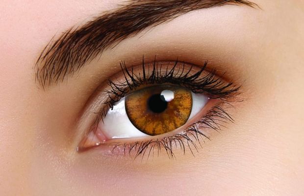 Woody Brown Coloured Contact Lenses