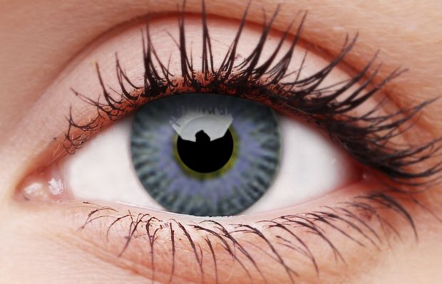 Grey Violet Coloured Contact Lenses