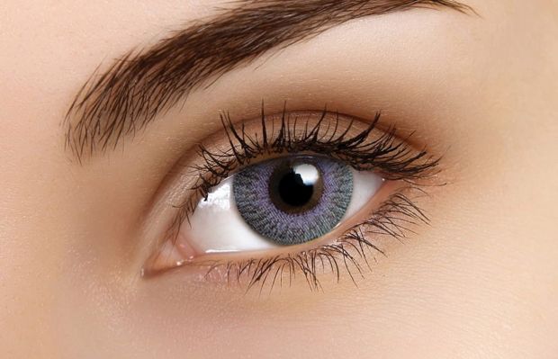 Grey Violet Coloured Contact Lenses