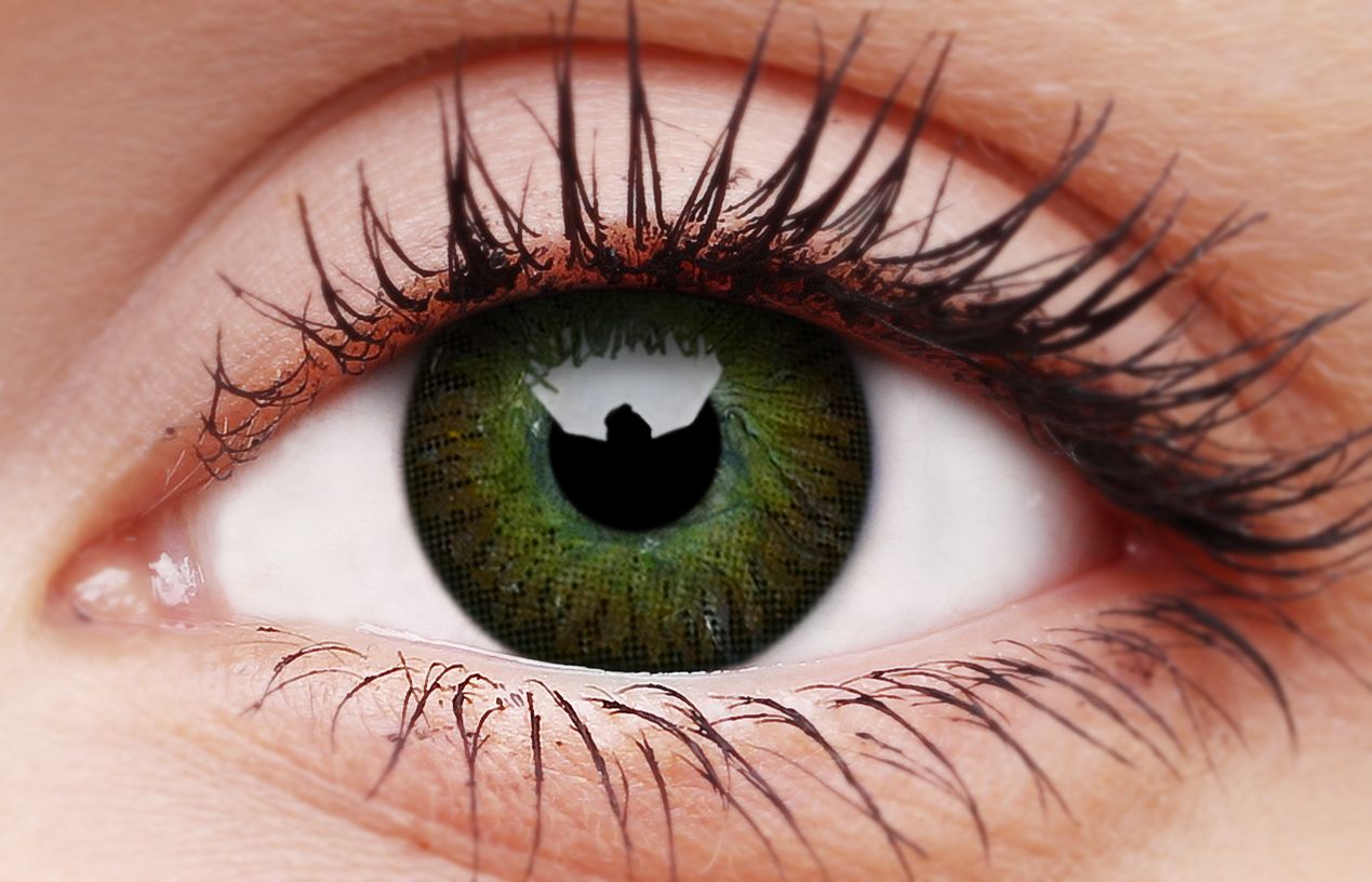 ColourVUE 3 Tones Brown Coloured Contact Lenses ColourVUE 3 Tones Brown Coloured Contact Lenses