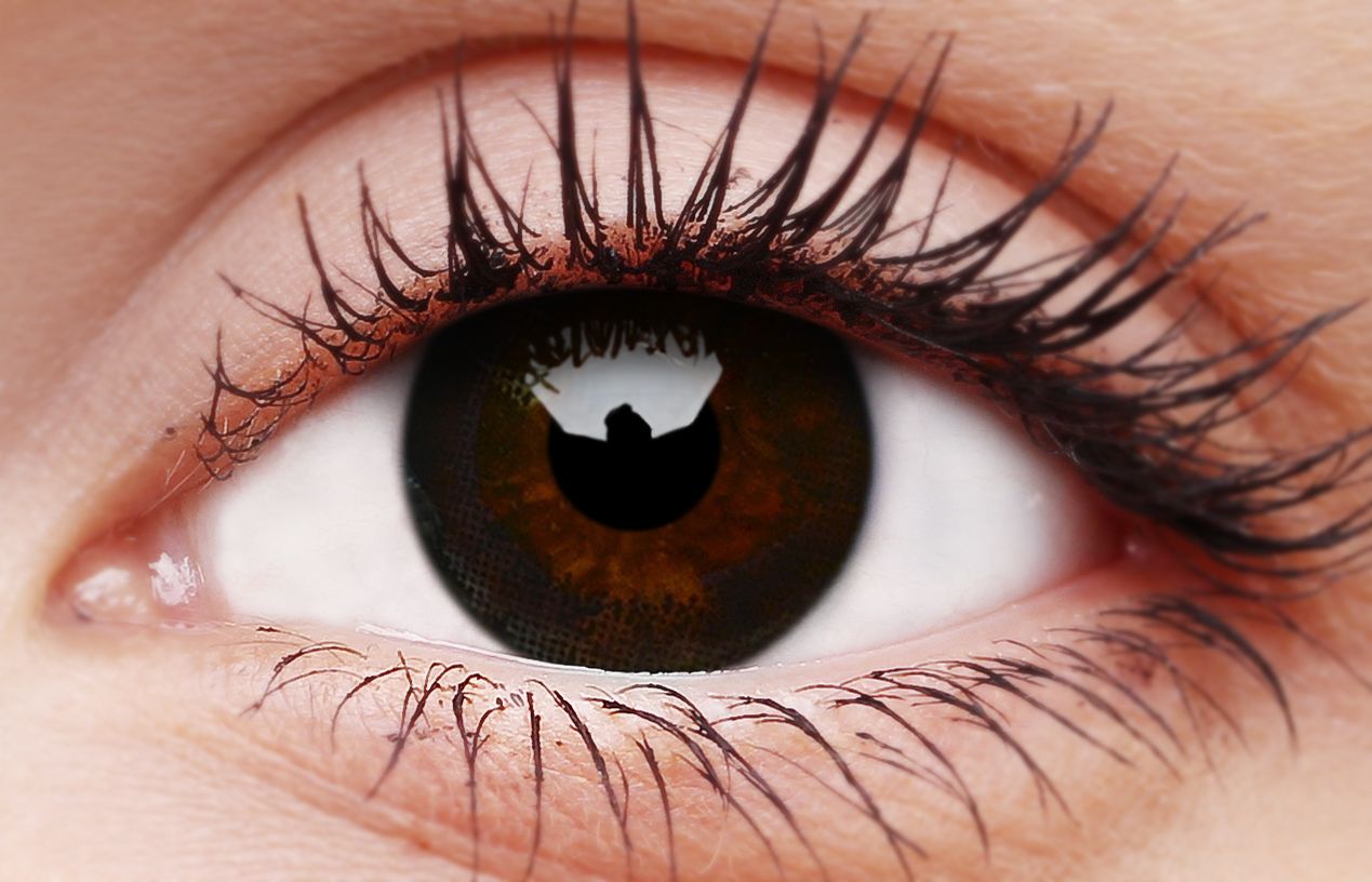 ColourVUE Awesome Black Coloured Contact Lenses colourvue-awesome-black-coloured-contact-lenses