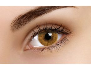 Basic Honey Coloured Contact Lenses