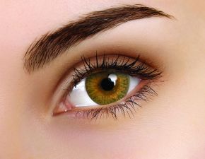 Trublends Brown Coloured Contact Lenses