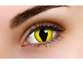 Yellow Cat Eye Colored Contact Lenses Daily, Animal & Reptile Lens