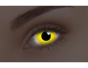 GLOW YELLOW 1-YEAR