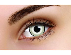 Venus Coloured Contact Lenses