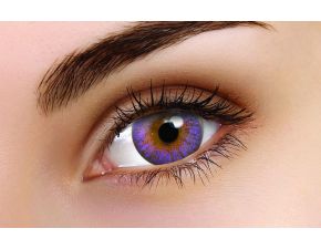 TruBlends Violet Daily Contact Lenses