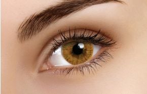 Basic Honey Coloured Contact Lenses