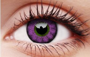 Glamour Violet Coloured Contact Lenses – Colourvue Australia