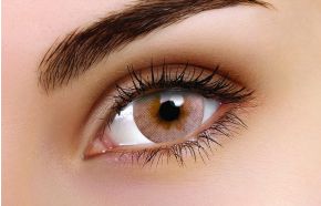 Signature Brown Coloured Contact Lenses