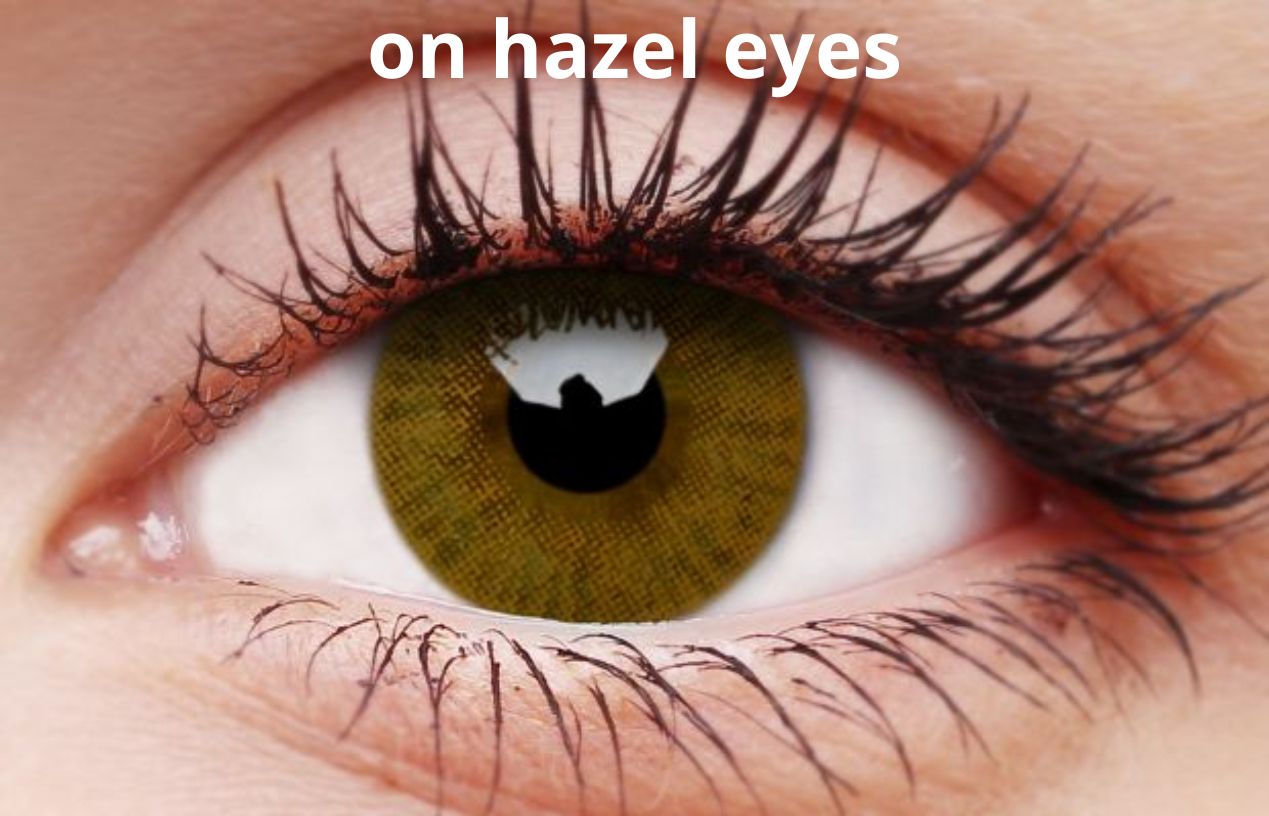 ColourVUE Basic Honey Contact Lenses | 90-day Use