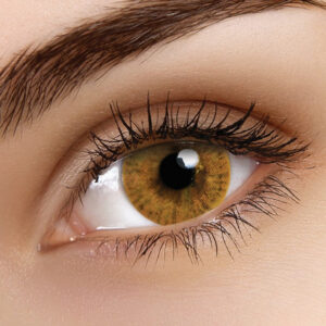 ColourVUE Basic Honey Contact Lenses | 90-day Use