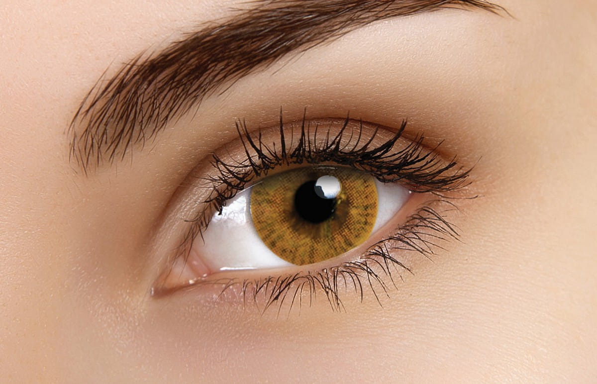 ColourVUE Basic Honey Contact Lenses | 90-day Use