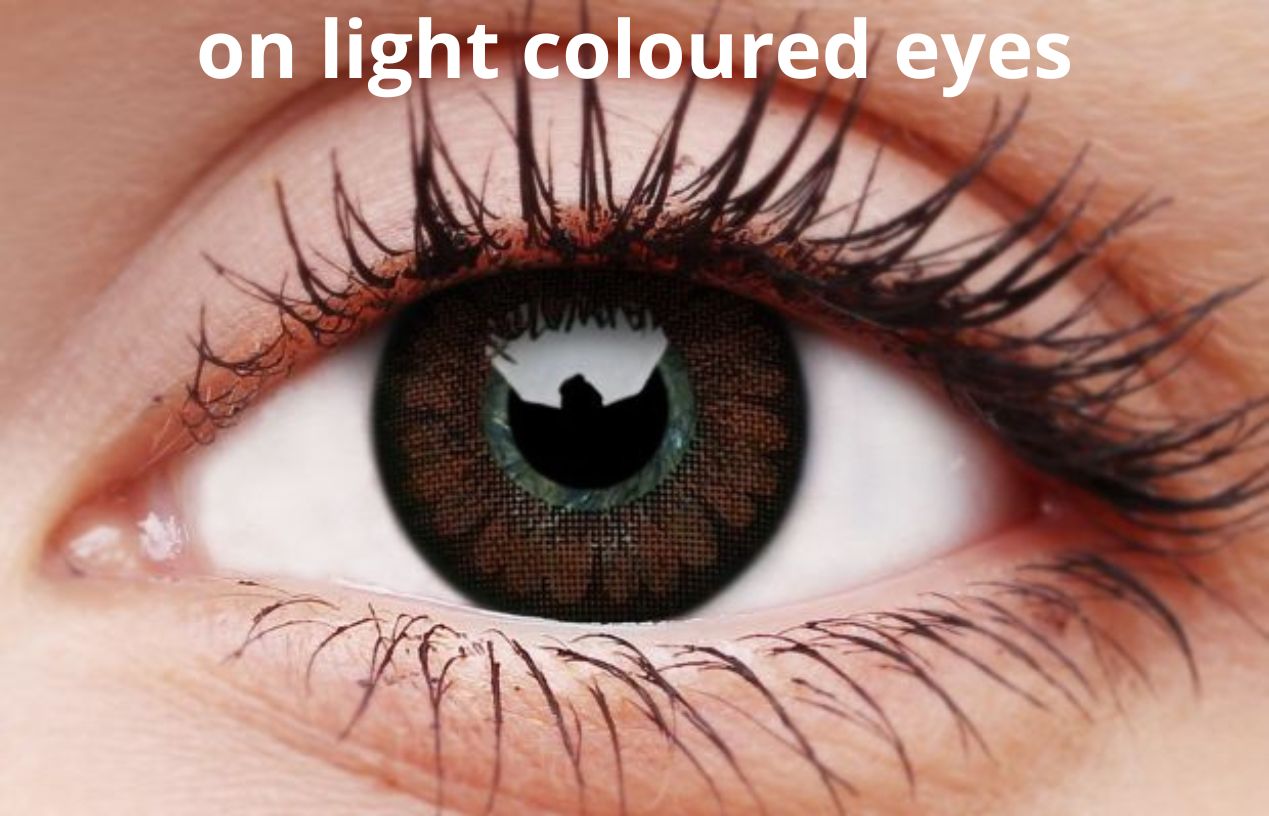 ColourVUE Pretty Hazel Big Eye Contact Lenses | 90-day Use