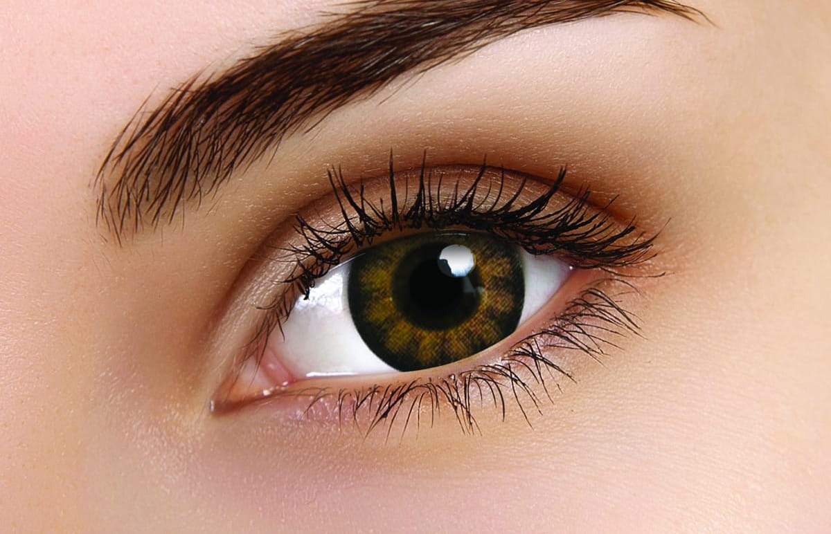 ColourVUE Sexy Brown Contact Lenses | 90-day Use