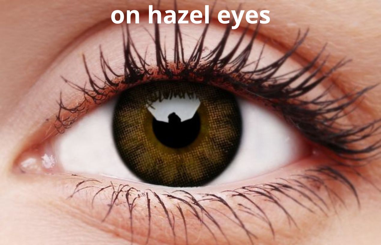 ColourVUE Sexy Brown Contact Lenses | 90-day Use