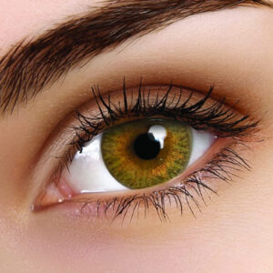 ColourVUE TruBlends Brown Daily Contact Lenses