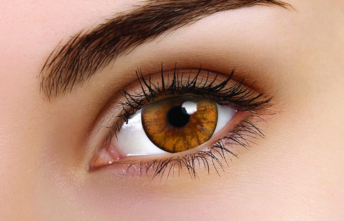 ColourVUE Woody Brown Contact Lenses | 1-Month Use