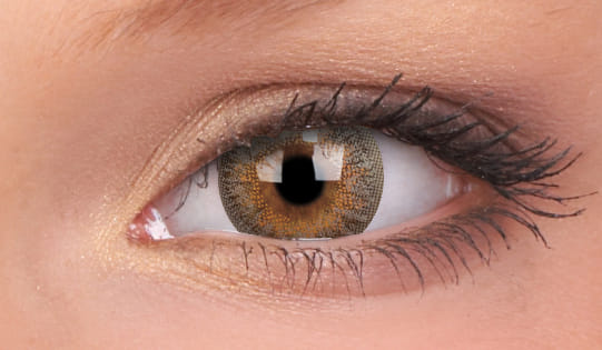 TruBlends Grey Monthly Contact Lenses