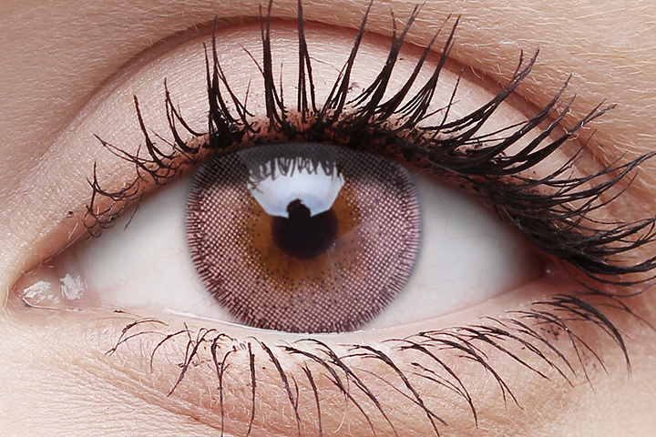 Lushy Brown Coloured Contact Lenses