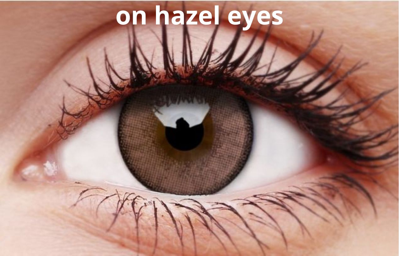 ColourVUE Shinning Brown Contact Lenses | 90-day Use