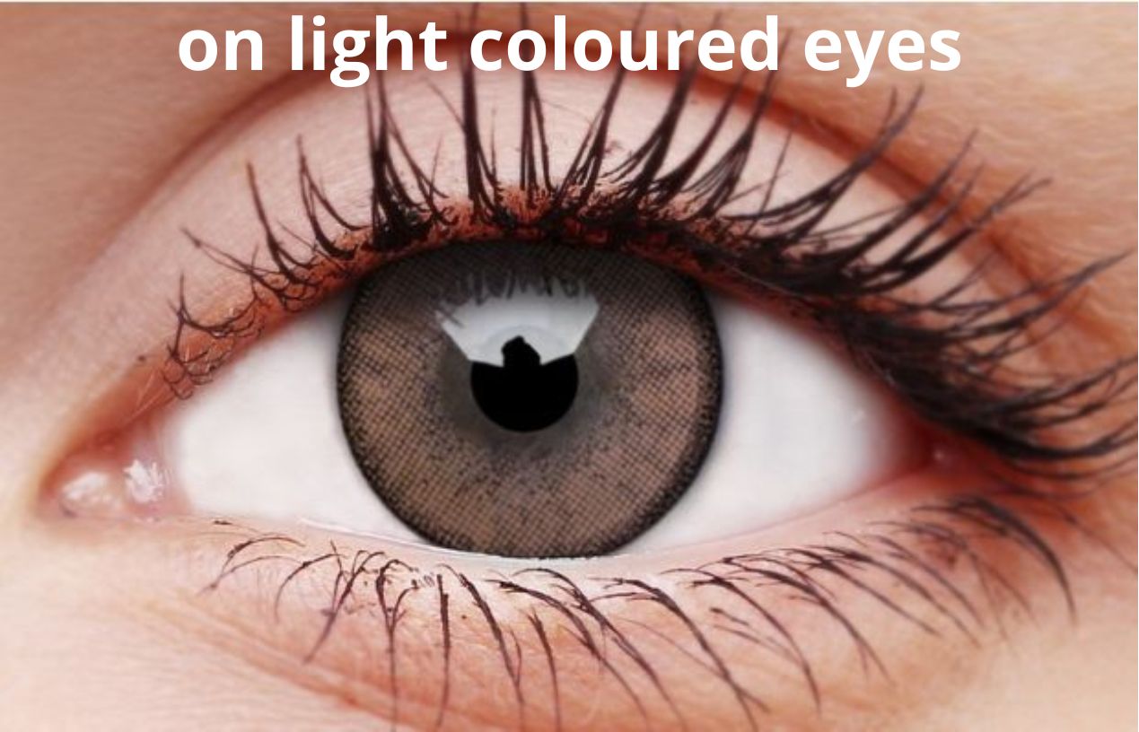ColourVUE Shinning Brown Contact Lenses | 90-day Use