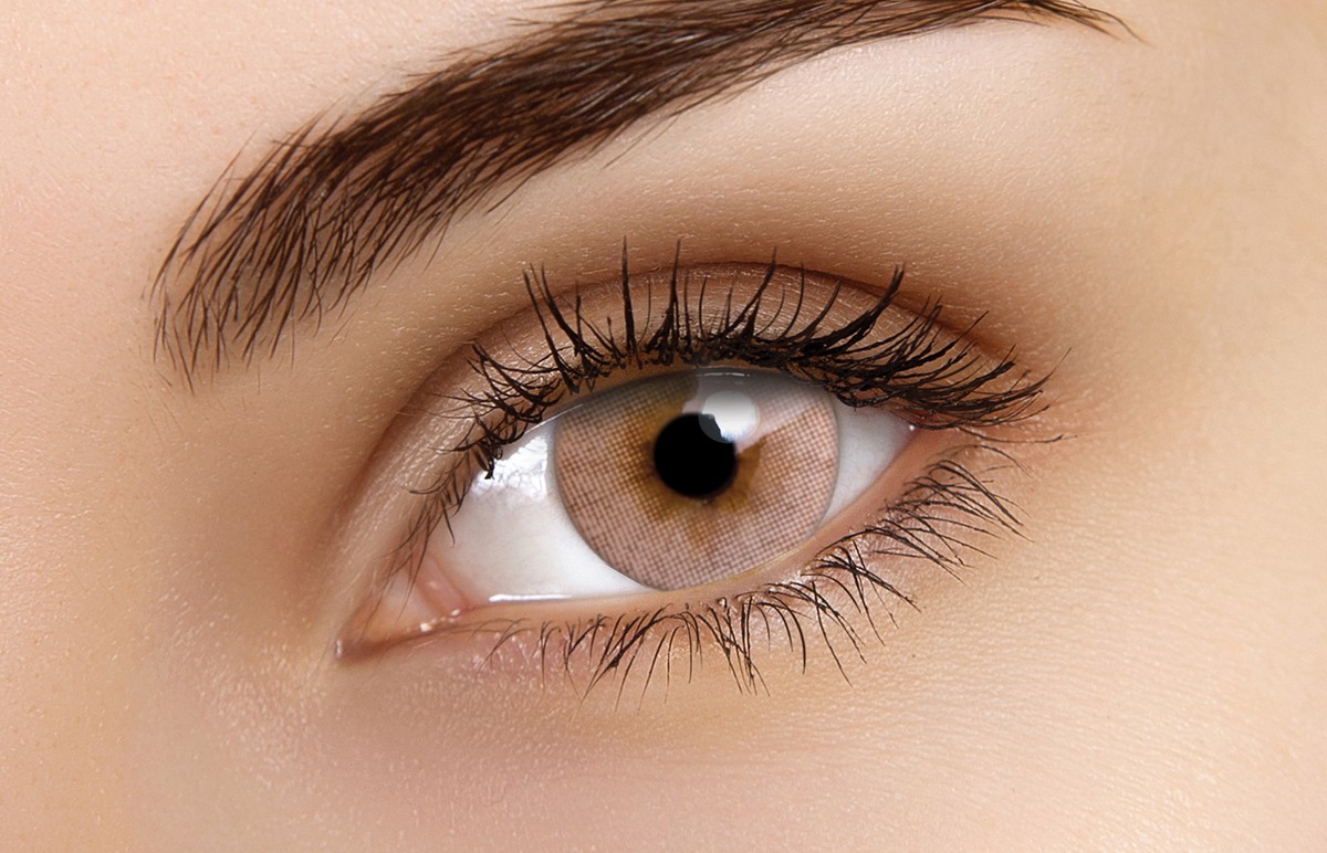 ColourVUE Signature Brown Contact Lenses | 1-Month Use