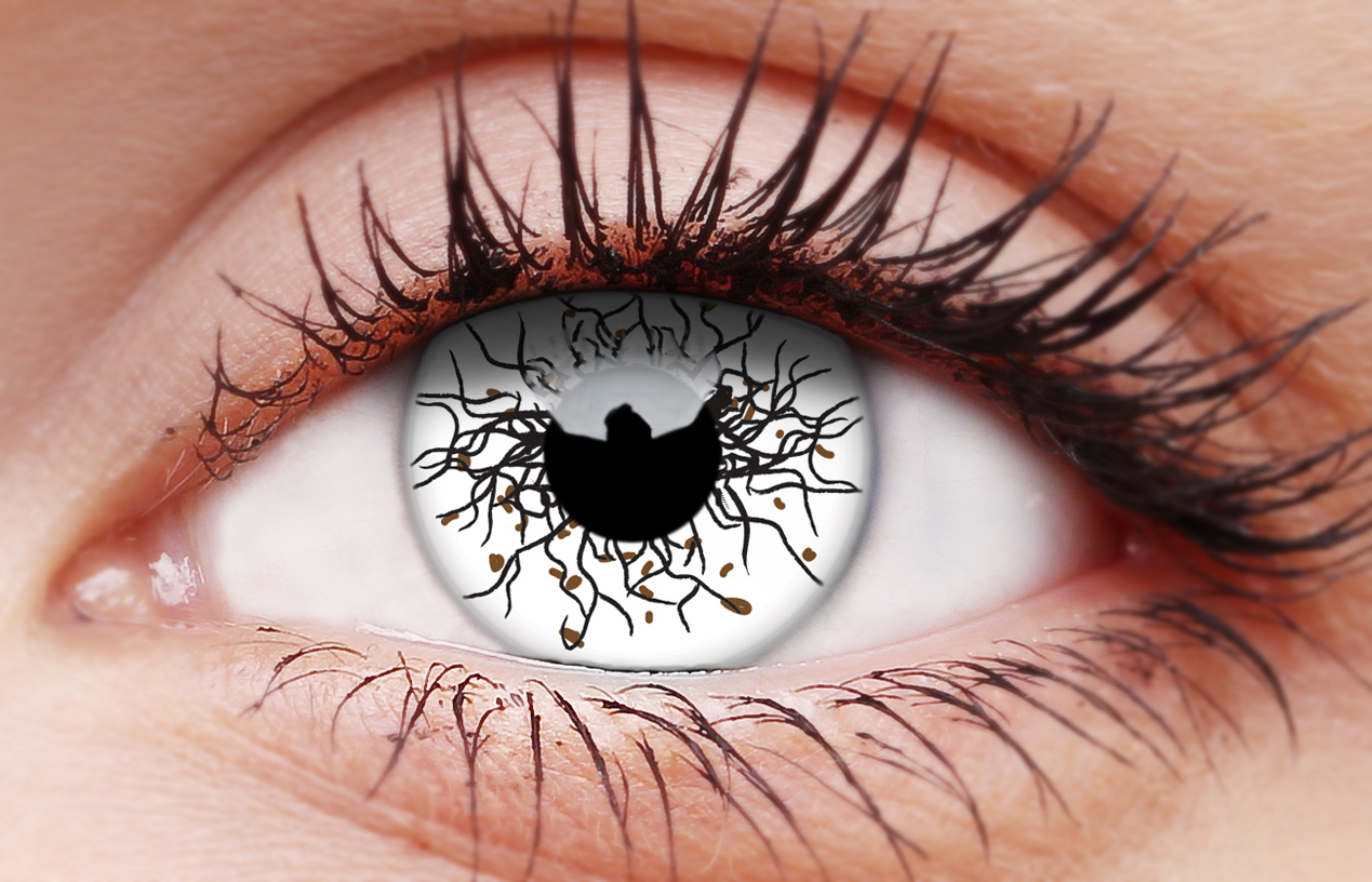 Vikingdom 1-day Coloured Contact Lenses