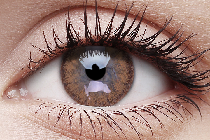 Woody Brown Coloured Contact Lenses