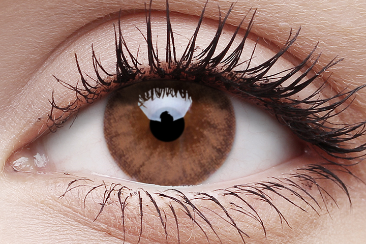 Woody Brown Coloured Contact Lenses