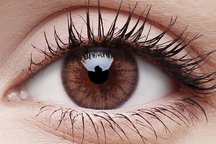 Woody Brown Coloured Contact Lenses